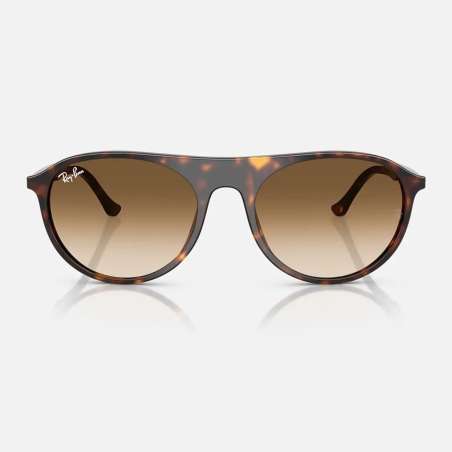 Ray Ban 2215 Havane - brun dégradé