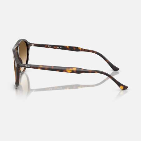 Ray Ban 2215 Havane - brun dégradé