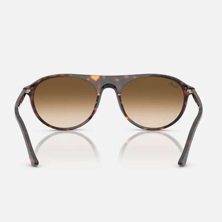 Ray Ban 2215 Havane - brun dégradé