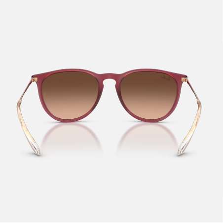 Ray Ban Erika Rubber Violet