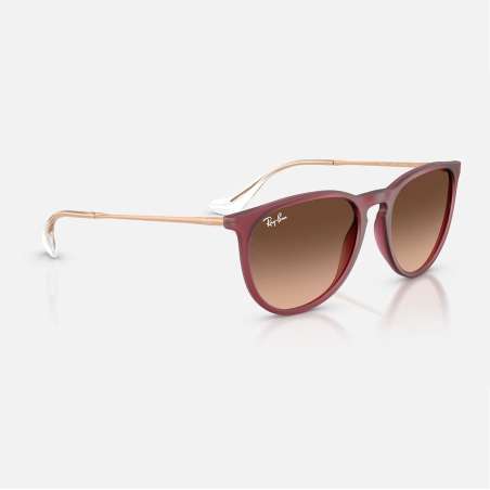 Ray Ban Erika Rubber Violet