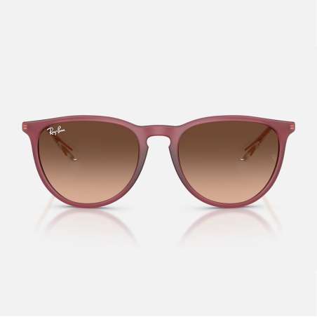 Ray Ban Erika Rubber Violet