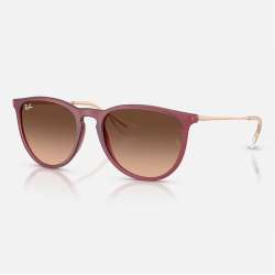 Ray Ban Erika Rubber Violet