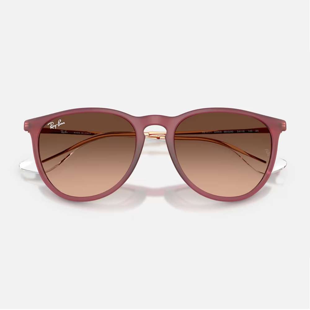 Ray Ban Erika Rubber Violet
