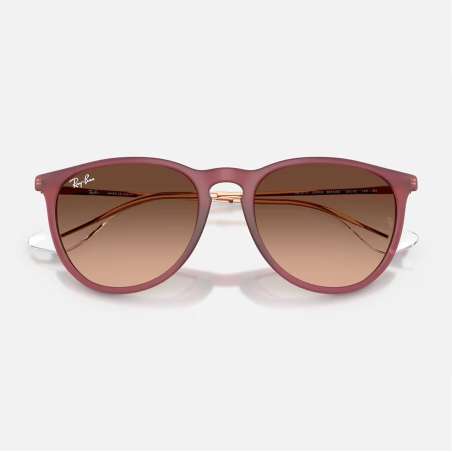 Ray Ban Erika Rubber Violet