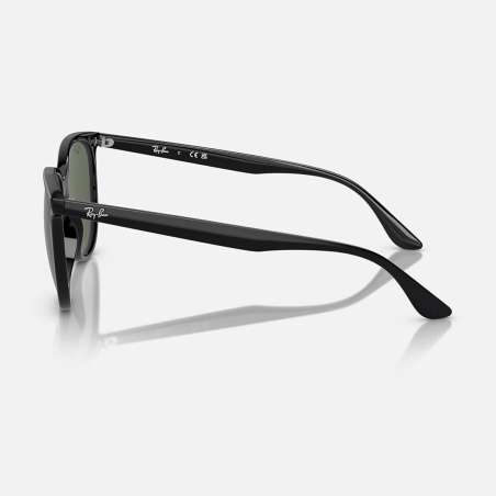 Ray Ban RB4378 Black - Dark Green
