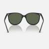 Ray Ban RB4378 Black - Dark Green