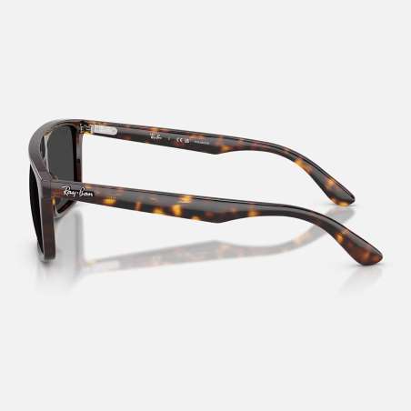 Ray Ban 2222 Havana