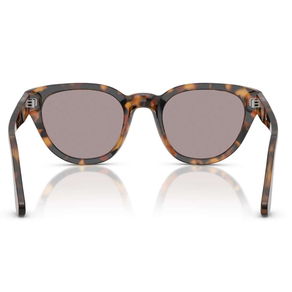 Persol 3379 Madreterra
