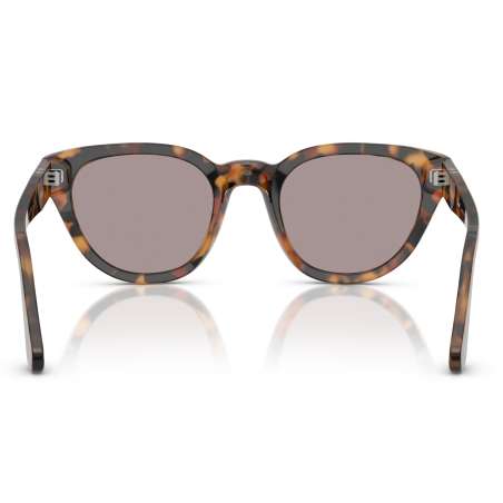 Persol 3379 Madreterra