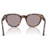 Persol 3379 Madreterra