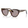 Persol 3379 Madreterra