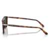 Persol 3391Havana