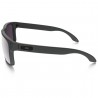Oakley Holbrook Steel Oakley Holbrook Steel