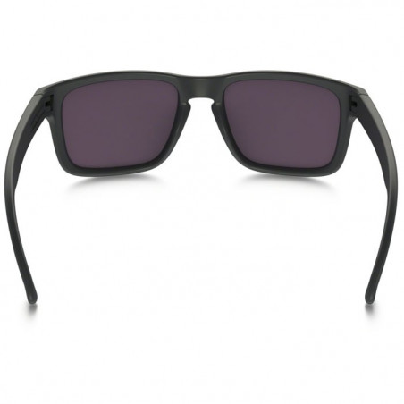 Oakley Holbrook Steel