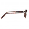 Persol 3184 Ecaille Persol 3184 Ecaille