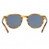 Persol 3152 Jaune à rayures Marron Persol 3152 Jaune à rayures Marron