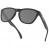 Oakley Frogskins matte black Oakley Frogskins matte black