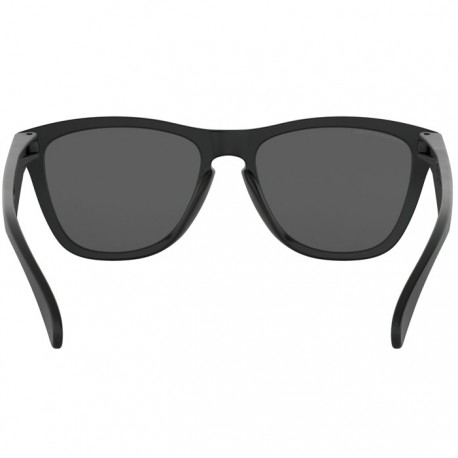 Oakley Frogskins matte black