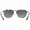 Persol 3165 Havana Gris Marron Persol 3165 Havana Gris Marron