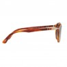 Persol 3171 Terre de Siene Persol 3171 Terre de Siene