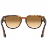 Persol 3231 Coffe Persol 3231 Coffe