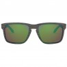 Oakley Holbrook XL Woodgrain - Prizm - Polarized Oakley Holbrook XL Woodgrain - Prizm - Polarized
