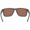 Oakley Holbrook XL Woodgrain - Prizm - Polarized Oakley Holbrook XL Woodgrain - Prizm - Polarized