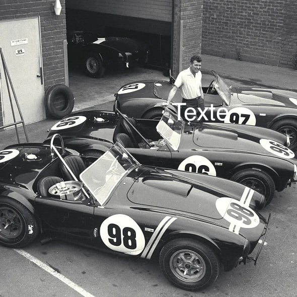 Cobra Shelby